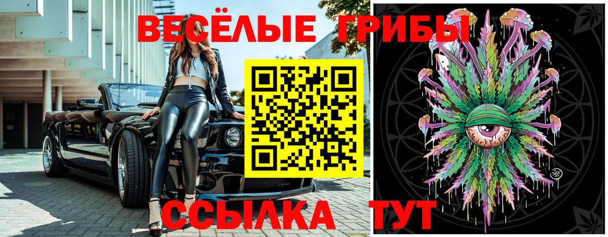 Псилоцибиновые грибы Cubensis  Вход с VPN  Ялуторовск 